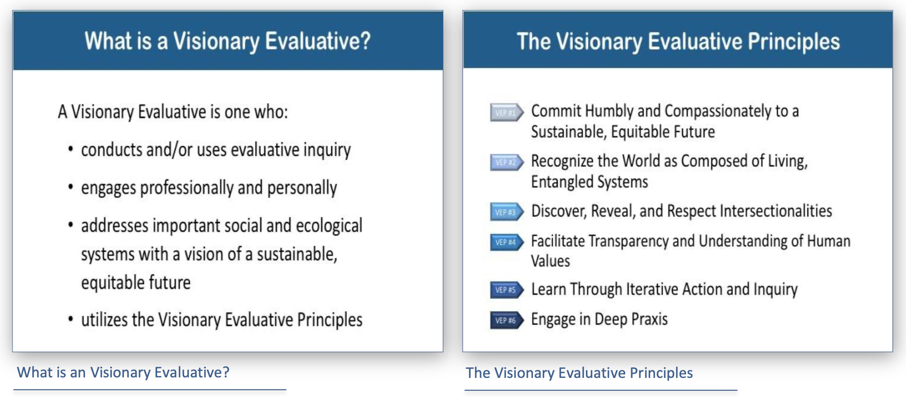 is a Visionary Evaluative and The Visionary Evaluation Principles bullet points