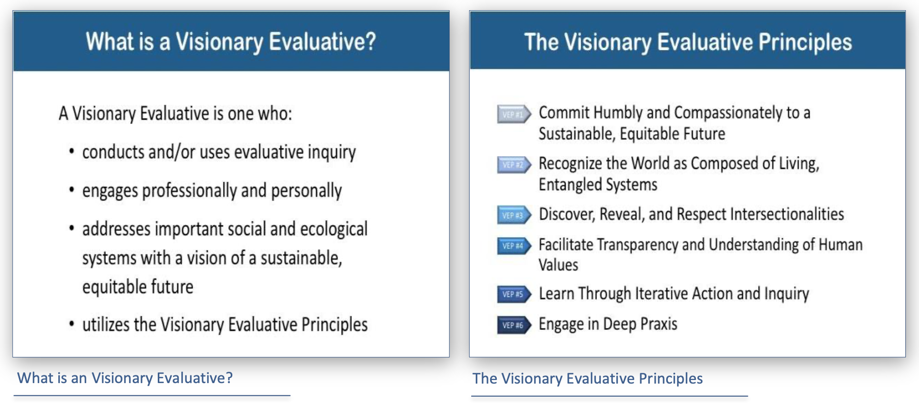 What is a Visionary Evaluative? and The Visionary Evaluative Principles bullet points