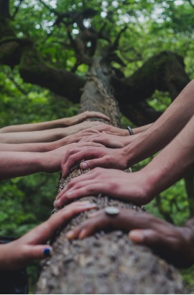 Image of many hands on a tree trunk