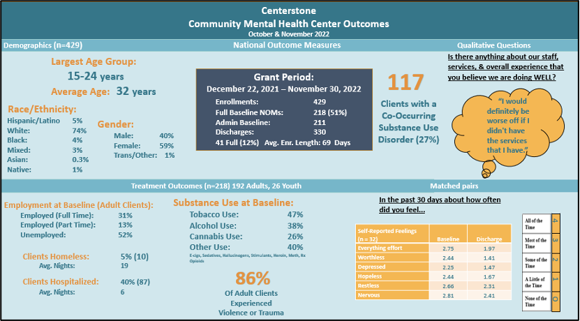 Centerstone Community Health Mental Health Center dashboard, showing demographics and treatment outcomes like employment, substance use, hospitalizations, homelessness, and mental health.
