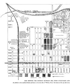 Map from Housing Conditions in Chicago, III: Back of the Yards, 1911