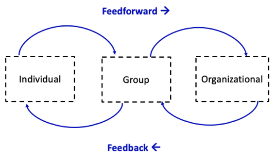 Diagram that shows information feeding forward and backward from an individual, group, and organization.