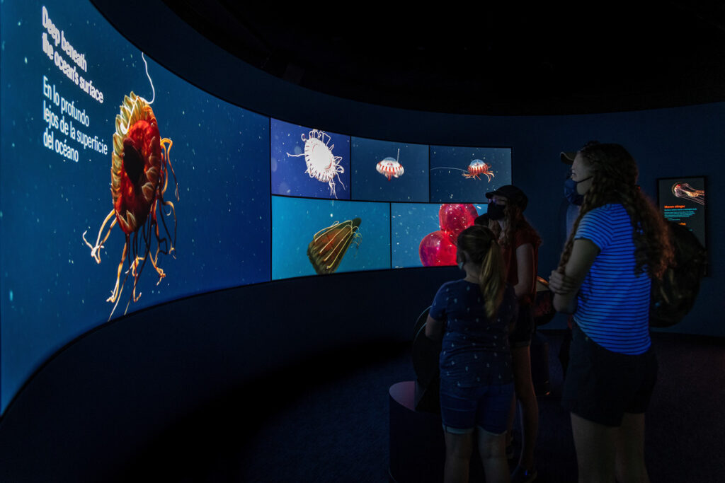 A family tours the new Into the Deep exhibit, taking time to explore the Midwater Experience.